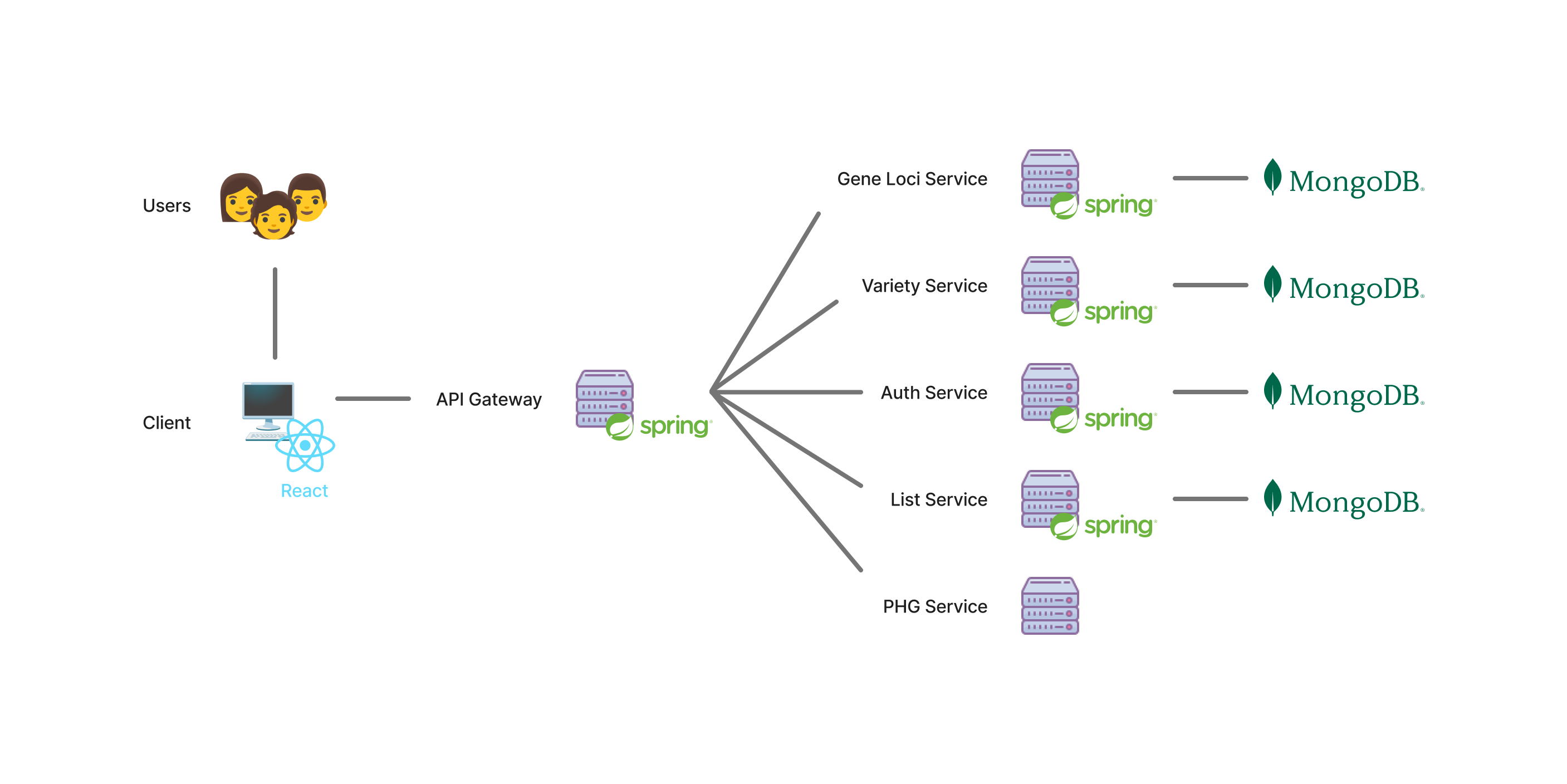 SNP-Spring Architecture